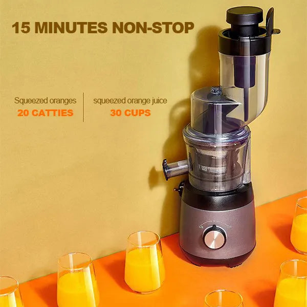 Automatic Fruit And Vegetable Juicer With Household Pulp Collector