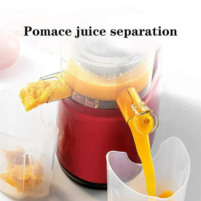 Automatic Fruit And Vegetable Juicer With Household Pulp Collector