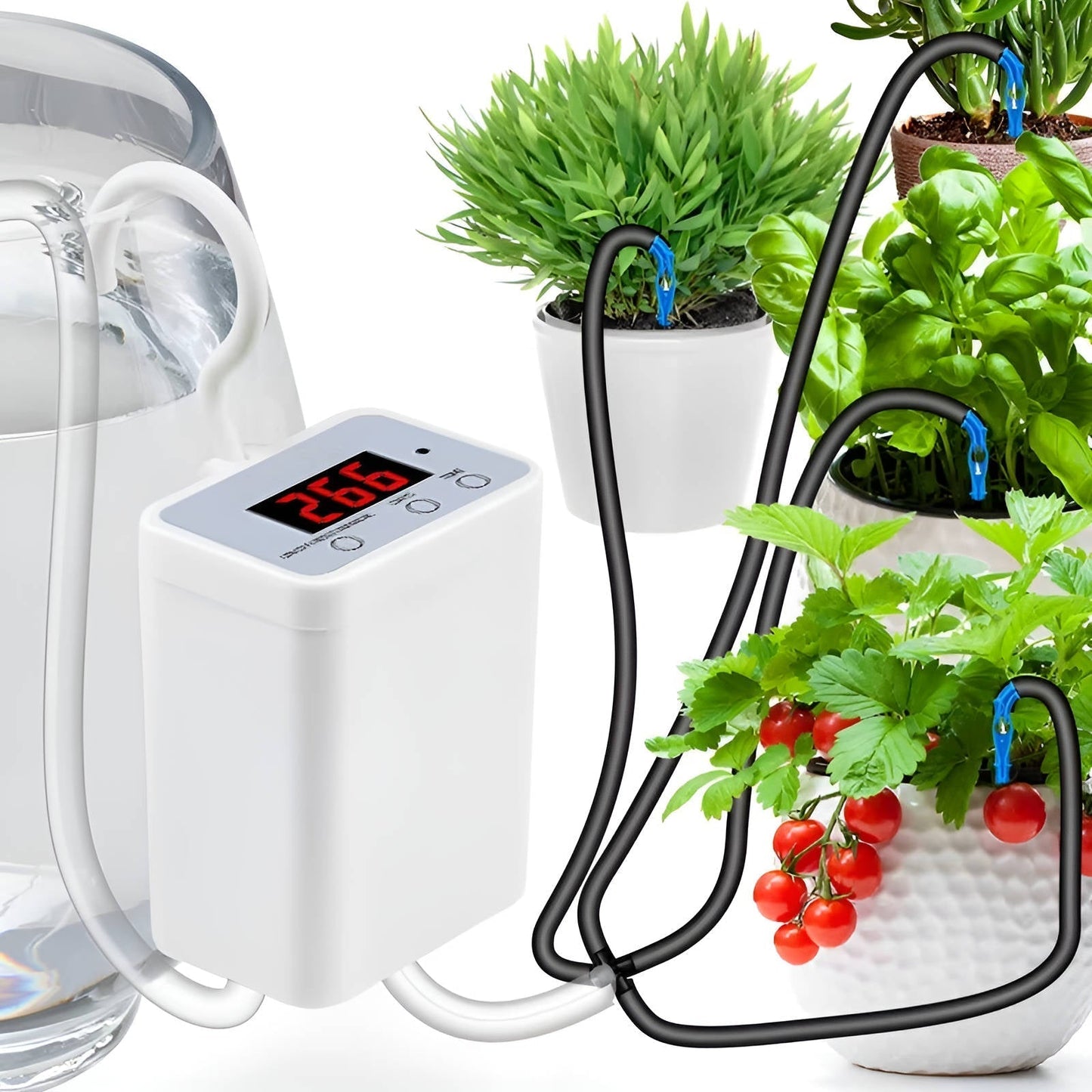 Watering Pump Controller With Automatic Timer And Moisture Sensor