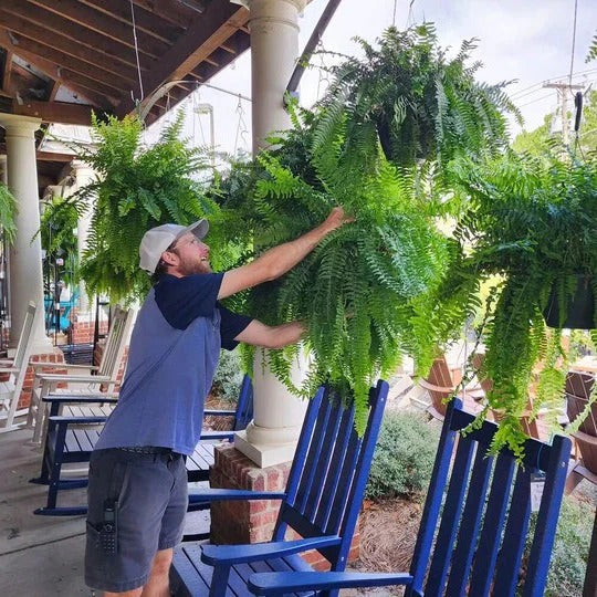 Artificial Boston Fern Hanging Plant For Porch And Balcony Decor