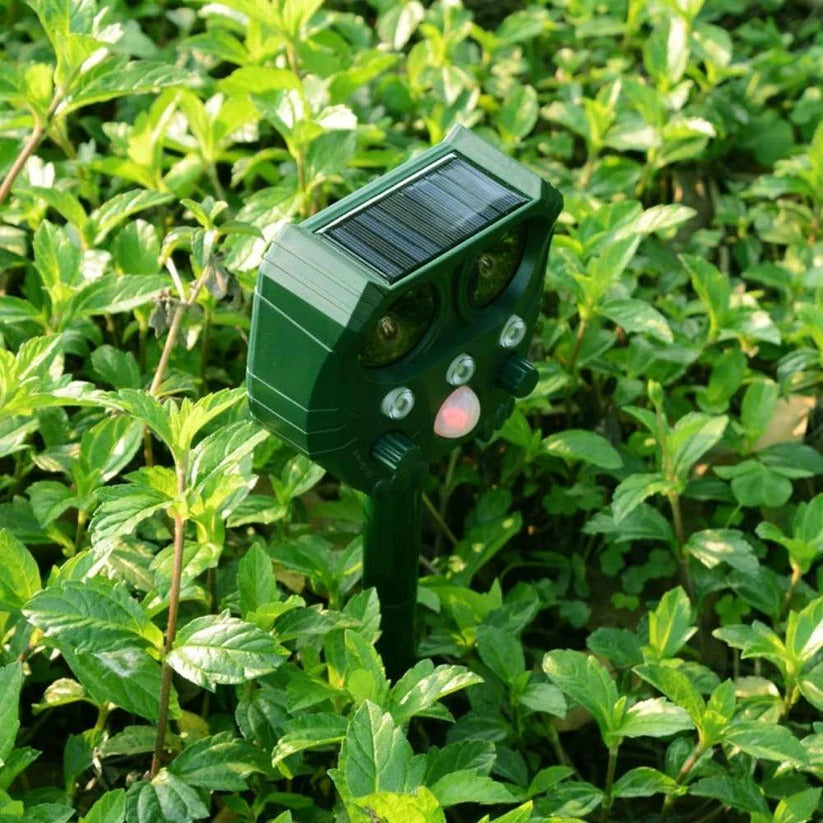 Ultrasonic Cat Repellent Sonar Deterrent For Foxes, Rats, Squirrels, Dogs
