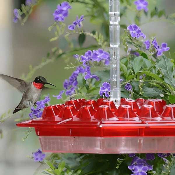 Hummingbird Feeder With Built-In Ant Moat And Easy-Clean Reservoir