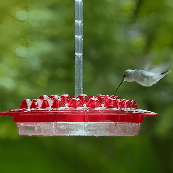 Hummingbird Feeder With Built-In Ant Moat And Easy-Clean Reservoir