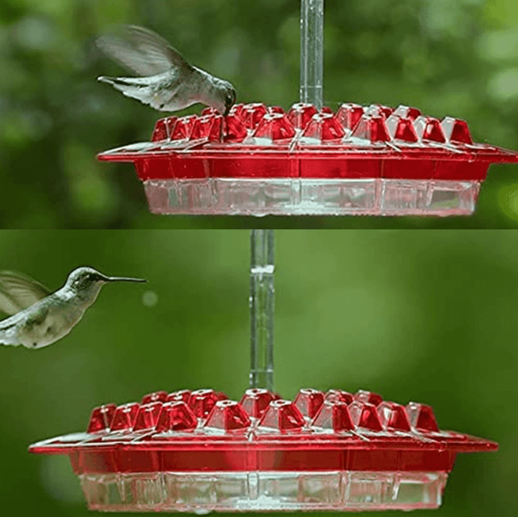 Hummingbird Feeder With Ant-Proof Hanging Perch For Outdoor Gardens