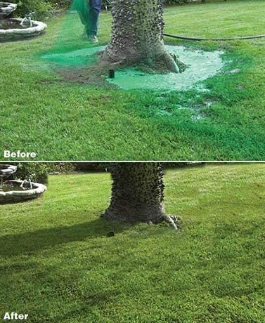 Liquid Lawn Seed Spray Household Seeding System For Quick Yard Repair