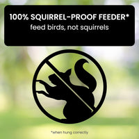 Bird Feeder Squirrel-Proof Metal Cage With Weight-Activated Perch