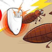 Ultrasonic Bed Bug Repeller May Help Reduce Bed Bugs Within 48 Hours