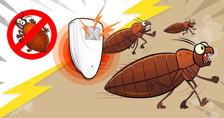 Ultrasonic Bed Bug Repeller May Help Reduce Bed Bugs Within 48 Hours