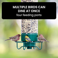 Bird Feeder Squirrel-Proof Metal Cage With Weight-Activated Perch