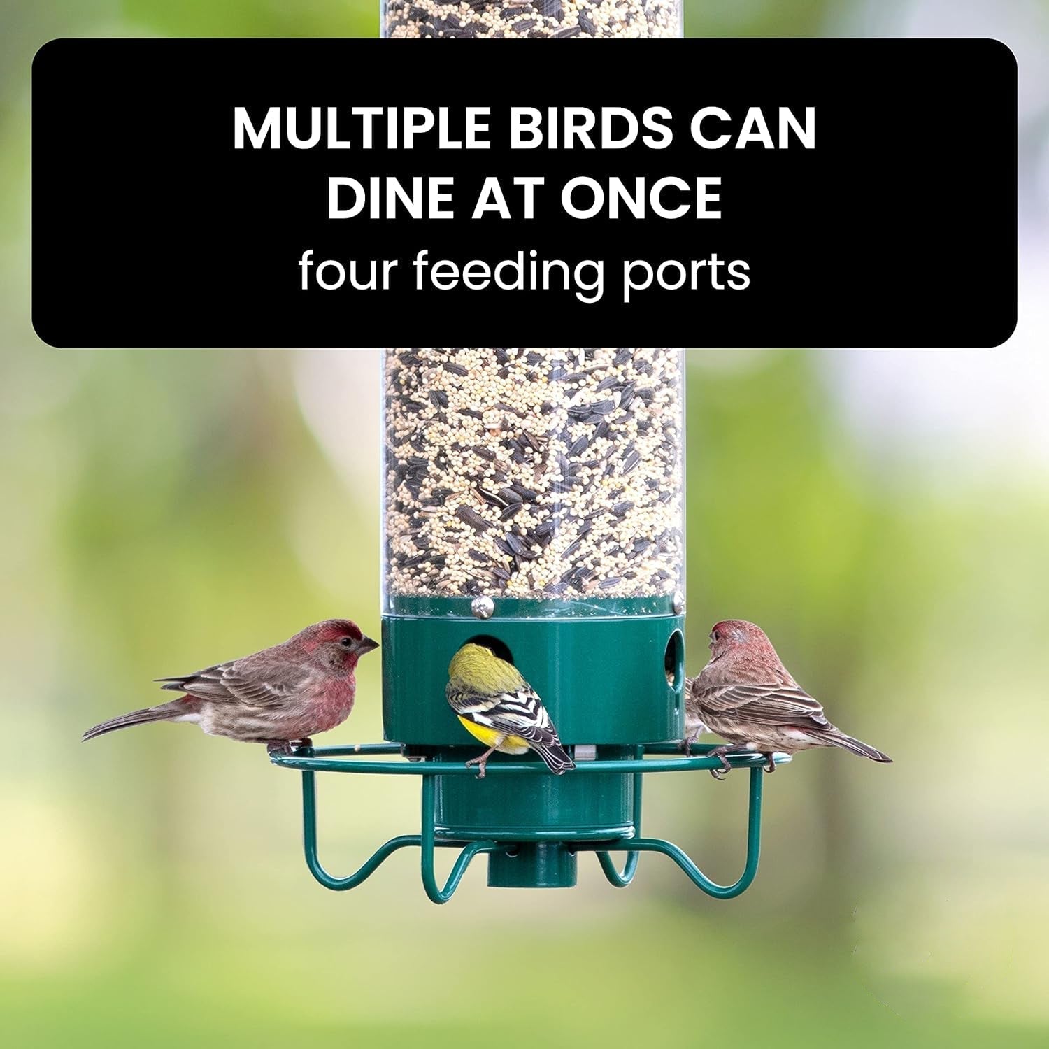Bird Feeder Squirrel-Proof Metal Cage With Weight-Activated Perch