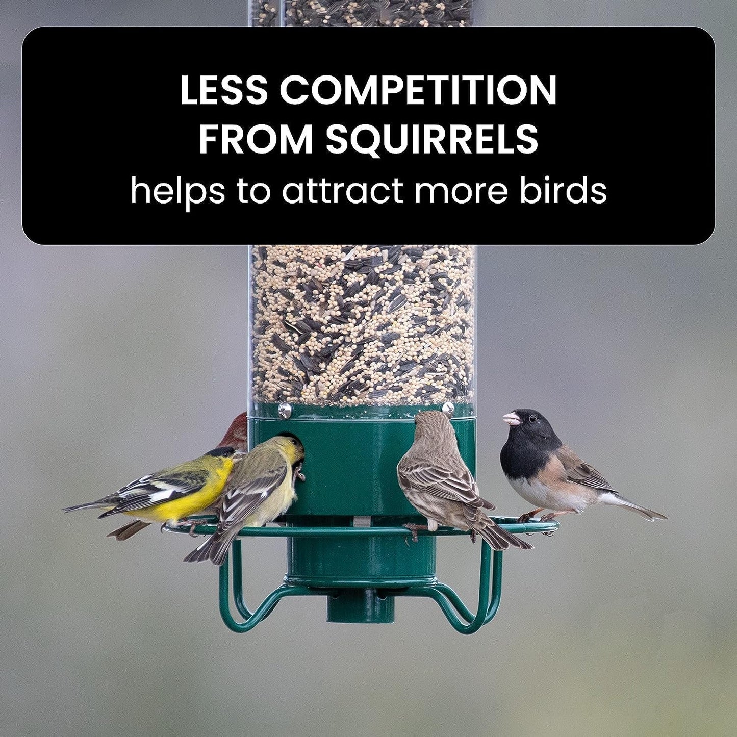 Bird Feeder Squirrel-Proof Metal Cage With Weight-Activated Perch