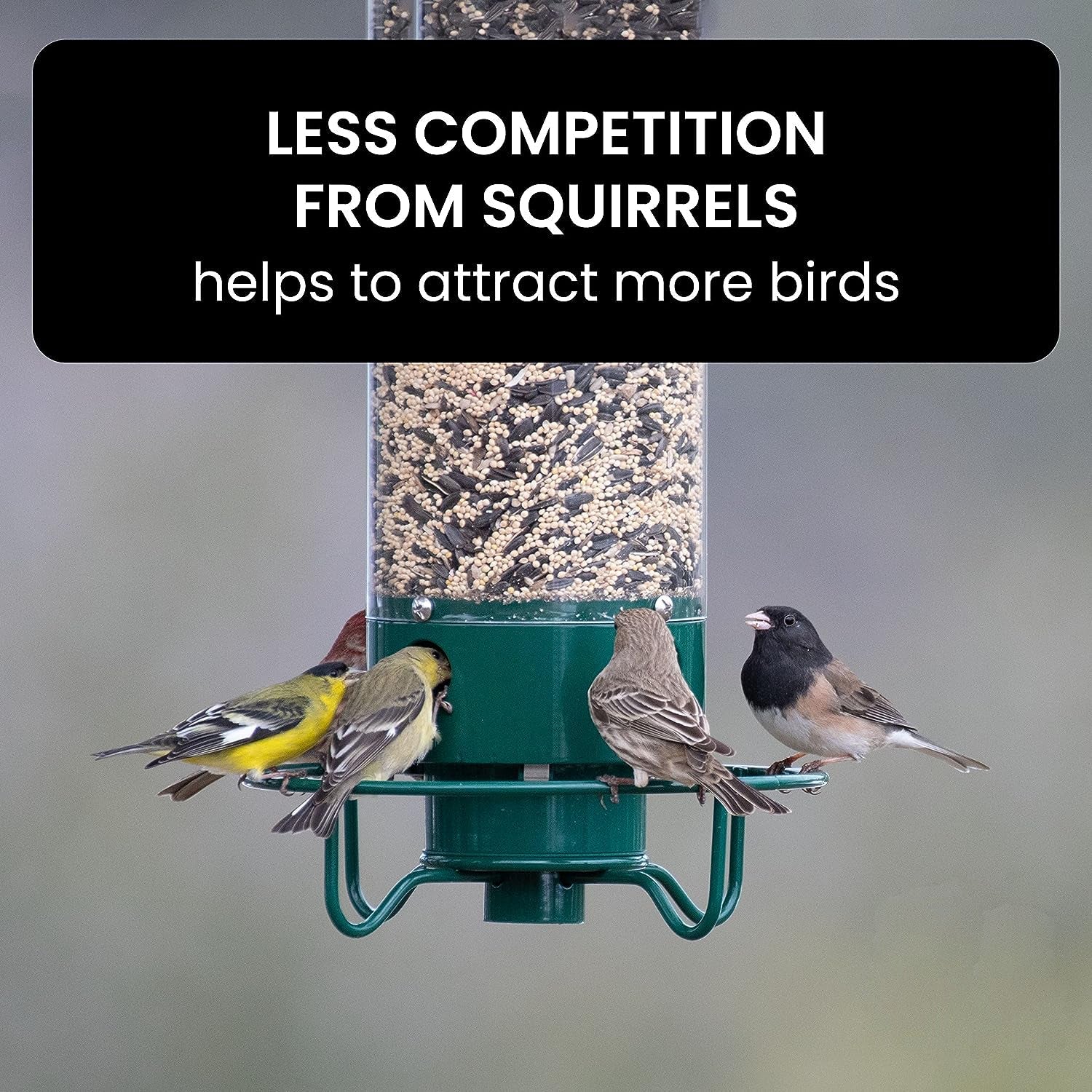 Bird Feeder Squirrel-Proof Metal Cage With Weight-Activated Perch