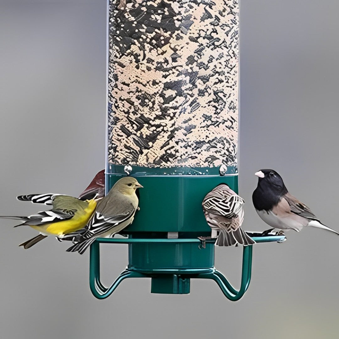 Bird Feeder Squirrel-Proof Metal Cage With Weight-Activated Perch
