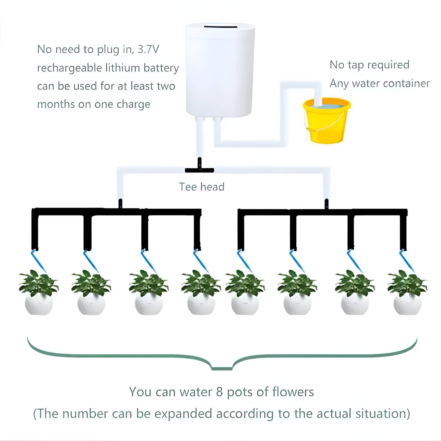 Watering Pump Controller With Automatic Timer And Moisture Sensor