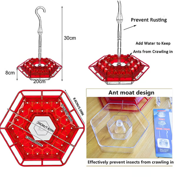 Hummingbird Feeder With Built-In Ant Moat And Easy-Clean Reservoir