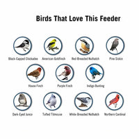 Bird Feeder Squirrel-Proof Metal Cage With Weight-Activated Perch