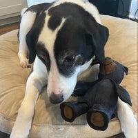 Dog Toys Chew-Resistant Interactive Bear Toy For Heavy Chewers