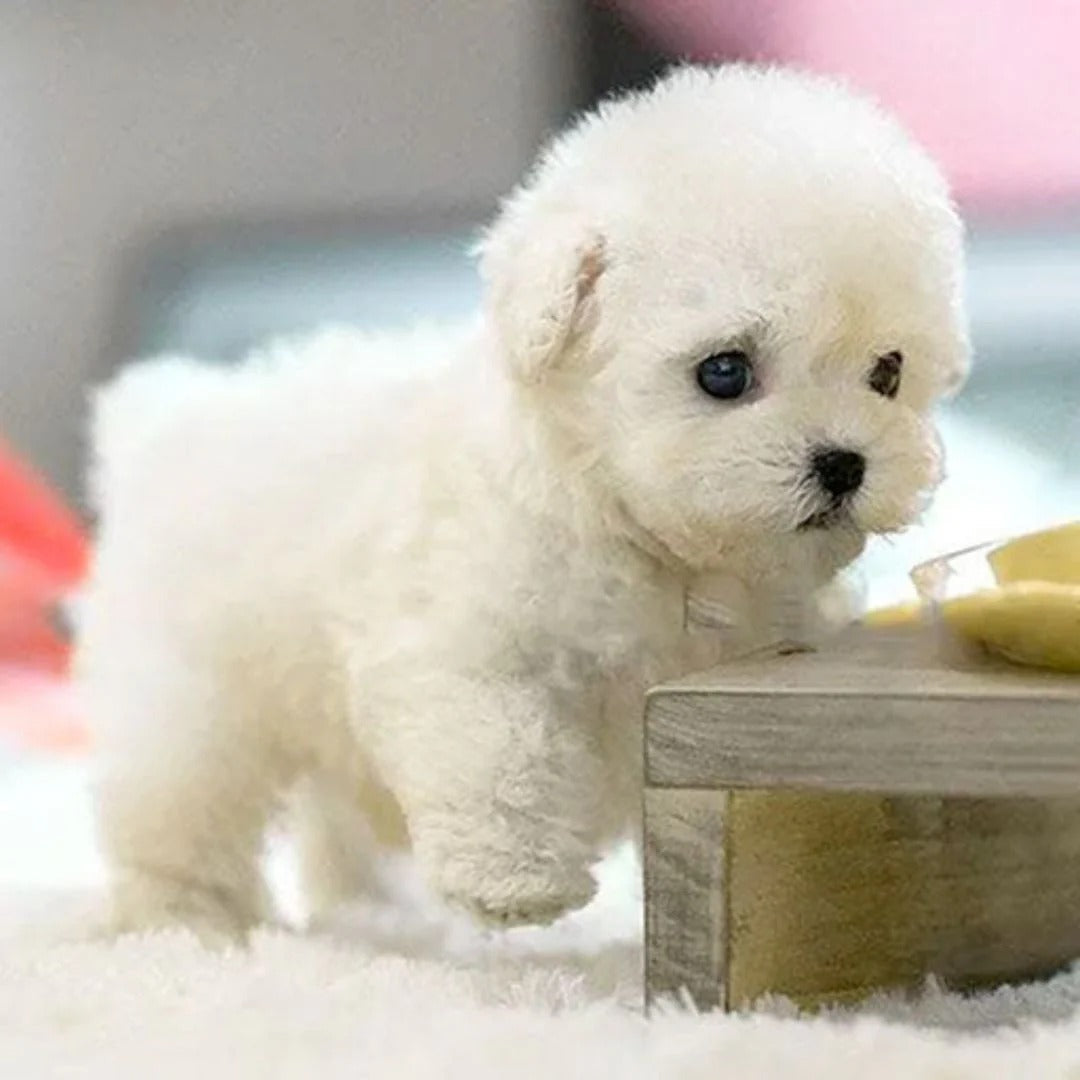 Robotic Puppy Lifelike Interactive Toy With Barking, Walking And Sensors