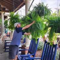 Artificial Boston Fern Hanging Plant For Porch And Balcony Decor