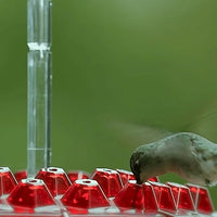 Hummingbird Feeder With Built-In Ant Moat And Easy-Clean Reservoir