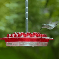 Hummingbird Feeder With Built-In Ant Moat And Easy-Clean Reservoir