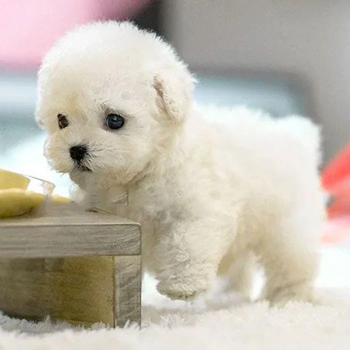 Interactive Robot Puppy Toy Realistic Electronic Puppy For Kids