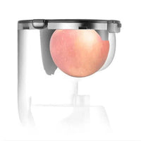 Automatic Fruit And Vegetable Juicer With Household Pulp Collector