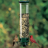 Bird Feeder Squirrel-Proof Metal Cage With Weight-Activated Perch