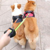 Double Dog Leash With Anti-Tangle Swivel For Two Dogs