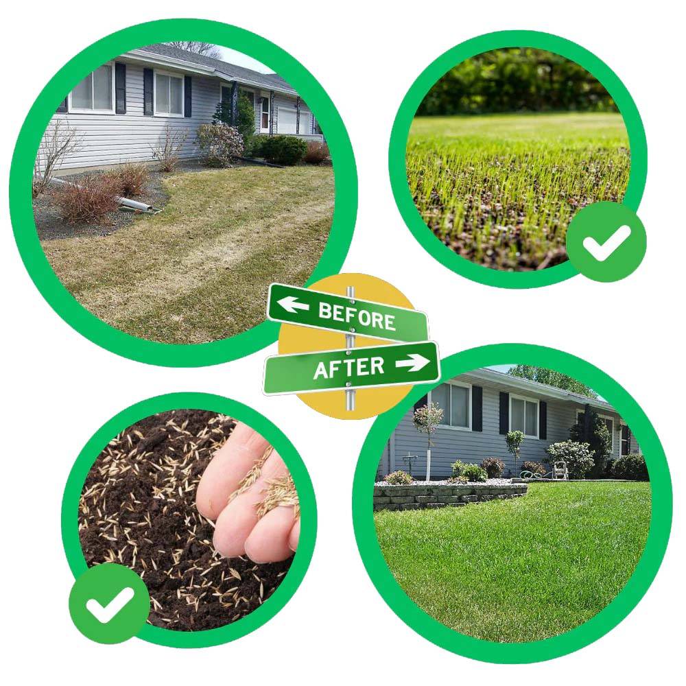 Grass Seed Repair Mat For Quick Green Lawn Patching And Germination