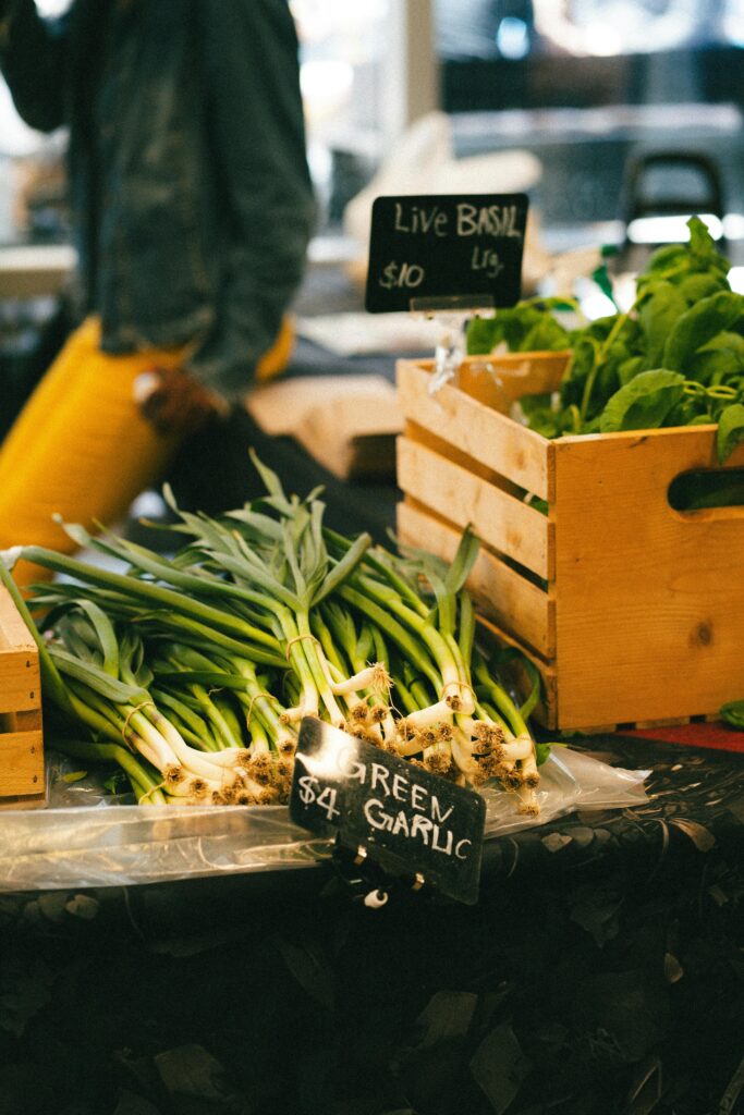 fresh green garlic